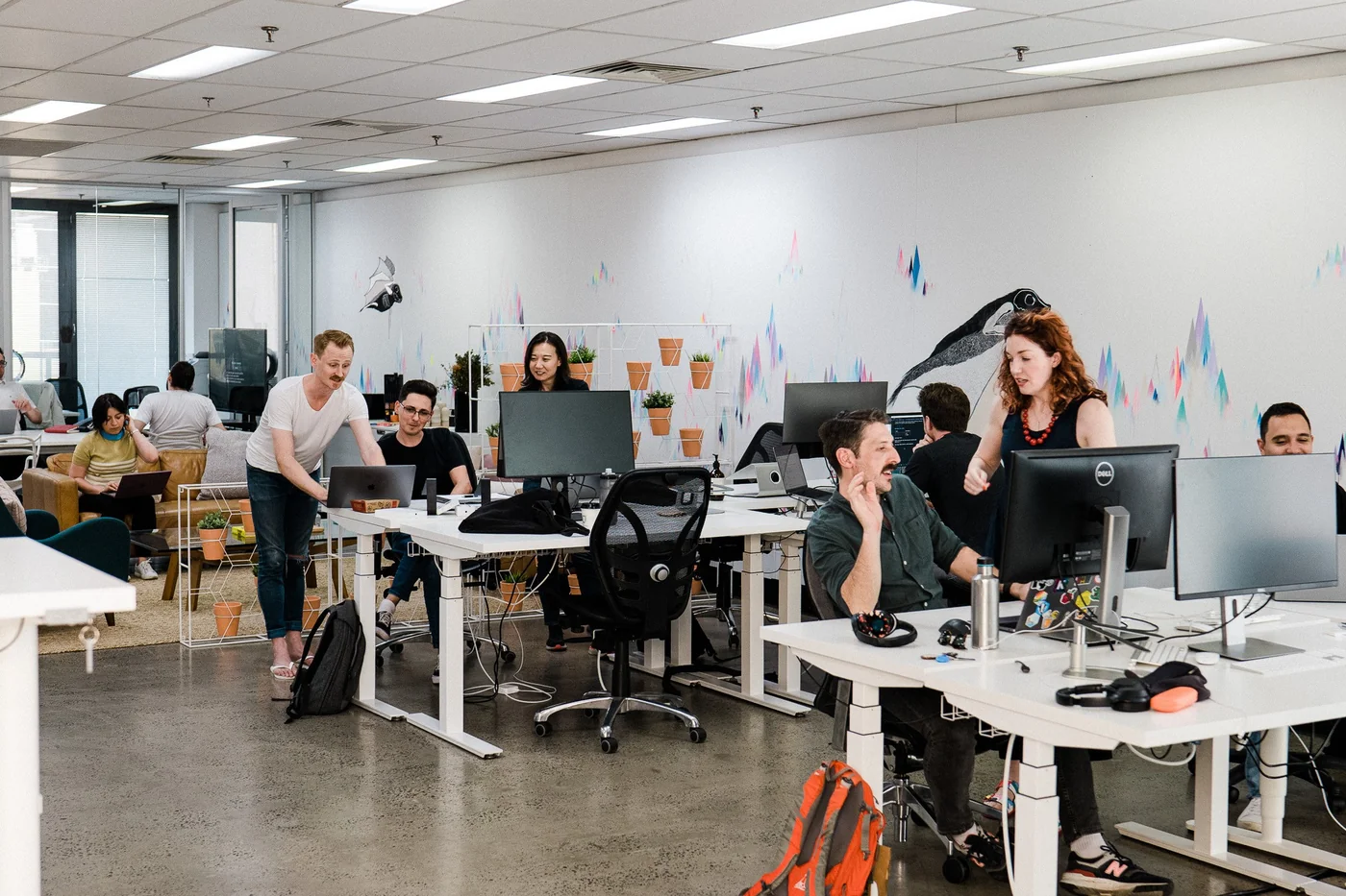 The Thinkmill office and team